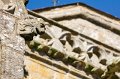0103 Locronan
